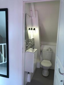 a bathroom with a white toilet and a sink at la Discrète in Berck-sur-Mer +24 photos