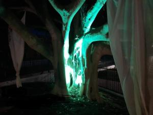 Galeriebild der Unterkunft Euphoria complex in Kavos