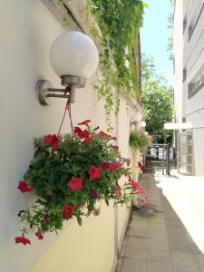 a street with flowers in a hanging basket on a wall at Villa Bulevar in Belgrade
