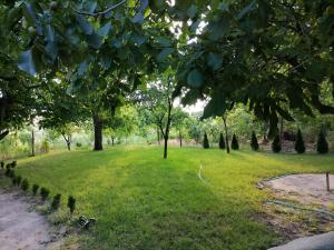 a park with trees and a green field at VisitorsCenter Ivanovo in Ivanovo