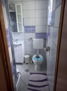 Koupelna v ubytování Rooms Luka