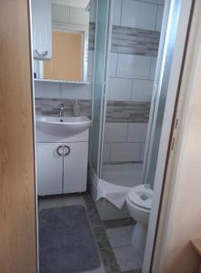 Koupelna v ubytování Rooms Luka