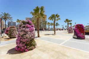 Gallery image of Hostal Costabella powered by Faro Homes in Fuengirola