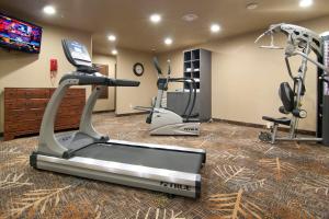 Fitness centrum a/nebo fitness zařízení v ubytování The Watford