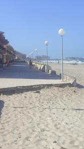 Naturlandskabet i nærheden af lejligheden