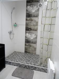 uma casa de banho com um chuveiro e piso em pedra em Apart Poltavska em Kirovohrad