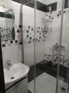 een badkamer met een douche en een wastafel bij Apart Perspektivna in Kropyvnytsky