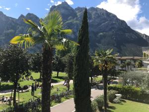 einen Park mit Palmen und Bergen im Hintergrund in der Unterkunft Appartamento Fronte Lago in Riva del Garda