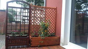 Ein Garten an der Unterkunft Appartment Hochpaterre