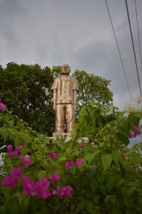 Afbeelding uit fotogalerij van HOTEL SAN PEDRO in La Paz +19 foto's