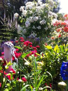 ガガーにある4 _ Sterne Ferienhaus Am Brinkの色鮮やかな花々が咲き誇る庭園