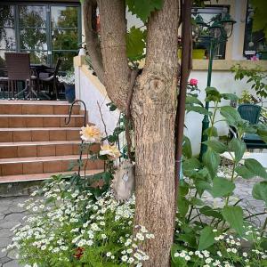 Ein Garten an der Unterkunft Pension Gartner
