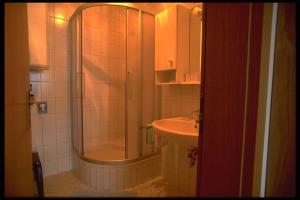 een badkamer met een douche en een wastafel bij Ferienwohnung Kaufmann in Schladming