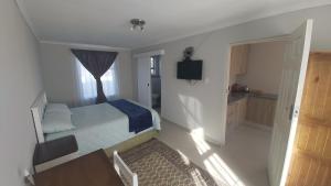 a bedroom with a bed and a television in it at Cottage self catering unit with ensuite. in East London