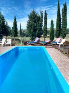 a large blue swimming pool with lounge chairs and trees at Complejo Don Bosco in Tandil