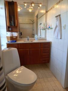 W łazience znajduje się toaleta, umywalka i lustro. w obiekcie Bed & Kitchen „Den gamle Skole“ Nr. Sejerslev w mieście Højer