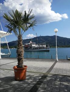 a palm tree in a pot next to a boat at Cityapartment am See in Pörtschach am Wörthersee