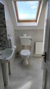a bathroom with a toilet and a sink with a skylight at Lios Éinne House Accommodation in Inisheer
