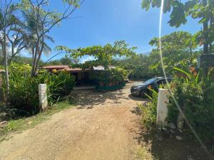 A garden outside Coco verde