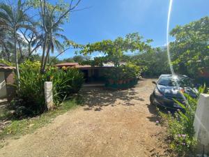 A garden outside Coco verde