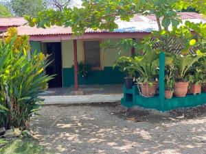 A garden outside Coco verde