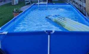 a large blue pool with two inflatables in it at Biedebure in Colijnsplaat