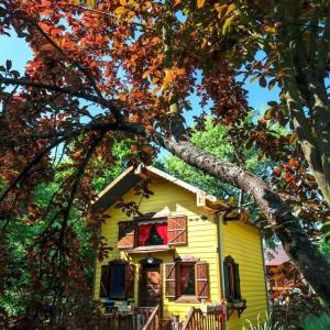 Abant Korudam bungalov butik otel في آبانت: منزل اصفر مع شباك وشجرة