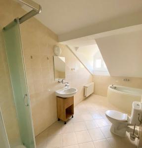 a bathroom with a sink and a toilet at Ośrodek Szkoleniowo Wypoczynkowy GOPR in Duszniki Zdrój