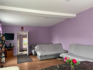 a bedroom with purple walls and a bed and a couch at Lauma in Kuldīga