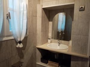 uma casa de banho com um lavatório e um espelho em Le petit Saint Bernard em Dijon
