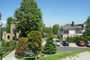 eine Straße in einem Wohnviertel mit parkenden Autos in der Unterkunft Garni Hotel Pyramida in Franzensbad