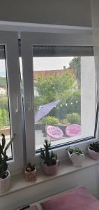 Fotografia z galérie ubytovania Villa Thalia v destinácii Marinići