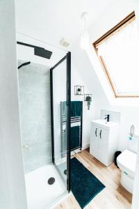 a bathroom with a shower and a toilet at Princes Street Apartment in Perth