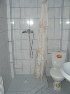 ブワディスワボボにあるDom Wczasowy Mikuśのバスルーム(シャワーカーテン、トイレ付)