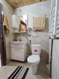 a bathroom with a white toilet and a sink at Apartment Winter Star in Kolašin +23 photos