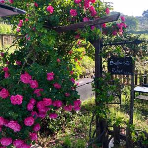 a pergola covered in pink roses and a sign at Podere Palazzolo (ADULTS ONLY) in Castellina in Chianti