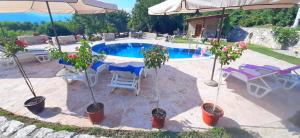 威尔帕扎Vila Pegaz的一座种植了盆栽植物的游泳池和一把遮阳伞