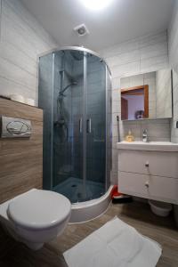 a bathroom with a shower and a toilet and a sink at Pokoje Gościnne Martynka in Białogóra +49 photos