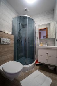 a bathroom with a shower and a toilet and a sink at Pokoje Gościnne Martynka in Białogóra