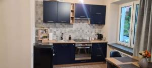 a kitchen with blue cabinets and a black refrigerator at Karpacz Apartament Chabrowy in Karpacz