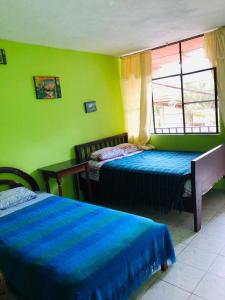 a green room with two beds and a window at Zumag Sisa in Tena