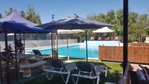 - une piscine avec des chaises longues et des parasols à côté de la piscine dans l'établissement Cortijo San José, à Séville