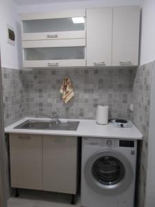 uma cozinha com um lavatório e uma máquina de lavar roupa em Peninsula-Cazino,Dalvi em Constança