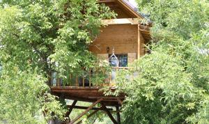 Gallery image of Casuta Veveritelor - Casuta in Copac in Moisei