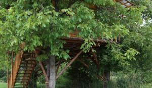 Gallery image of Casuta Veveritelor - Casuta in Copac in Moisei +21 photos