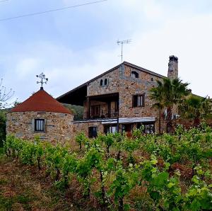 un ancien bâtiment en pierre dans un champ de vignes dans l'établissement Casa Rural Camino del Alentejo, à La Codosera