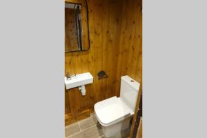 a bathroom with a white toilet and a sink at Malthouse Farm Cottage Carriage in Dilhorne