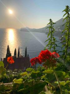 Gallery image of Guest Accommodation Sveti Jakov in Dubrovnik