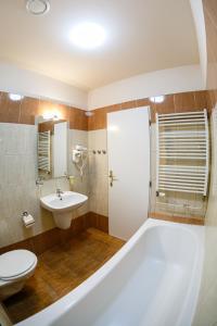 ein Badezimmer mit einer Badewanne, einem WC und einem Waschbecken in der Unterkunft Pension U Lilie in Prag