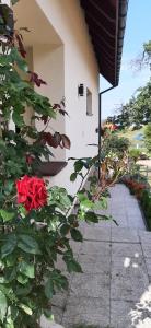 czerwona róża na krzaku obok budynku w obiekcie Pod Gruszą w mieście Lubin